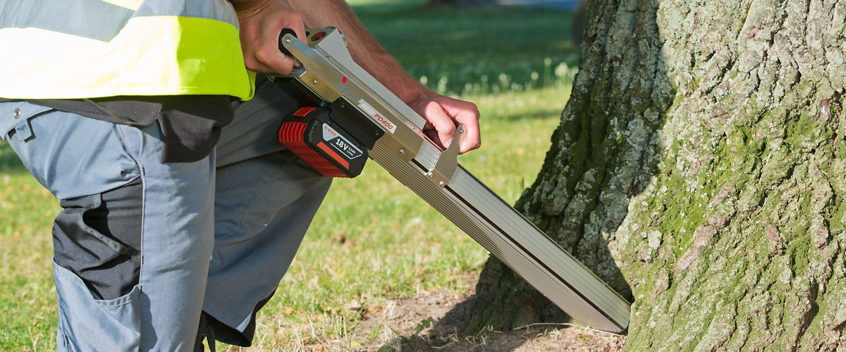Spécialiste inspectant de près les feuilles d'un arbre pour un diagnostic